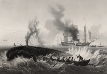 Pêche de la baleine, 1834-35
